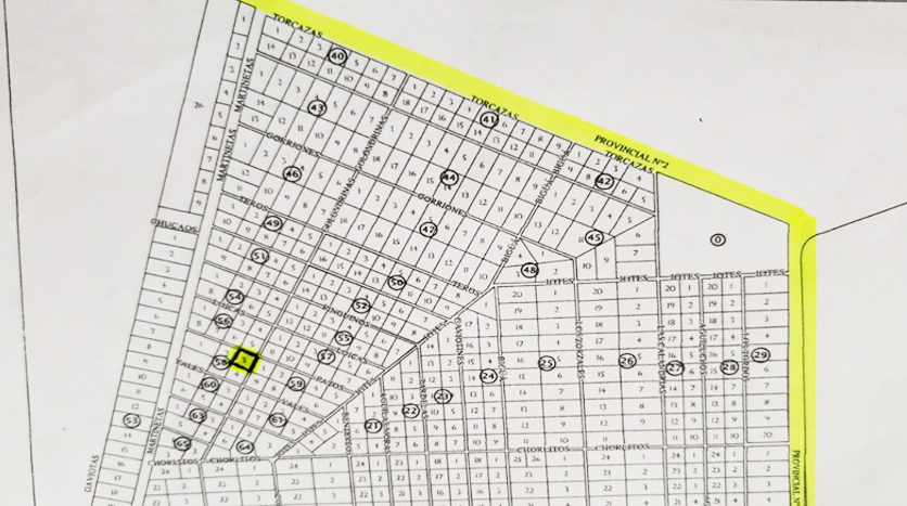 El Doradillo Patos y Golondrinas (esquina)